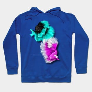 Betta Fish Duo, black & teal, white & pink Hoodie